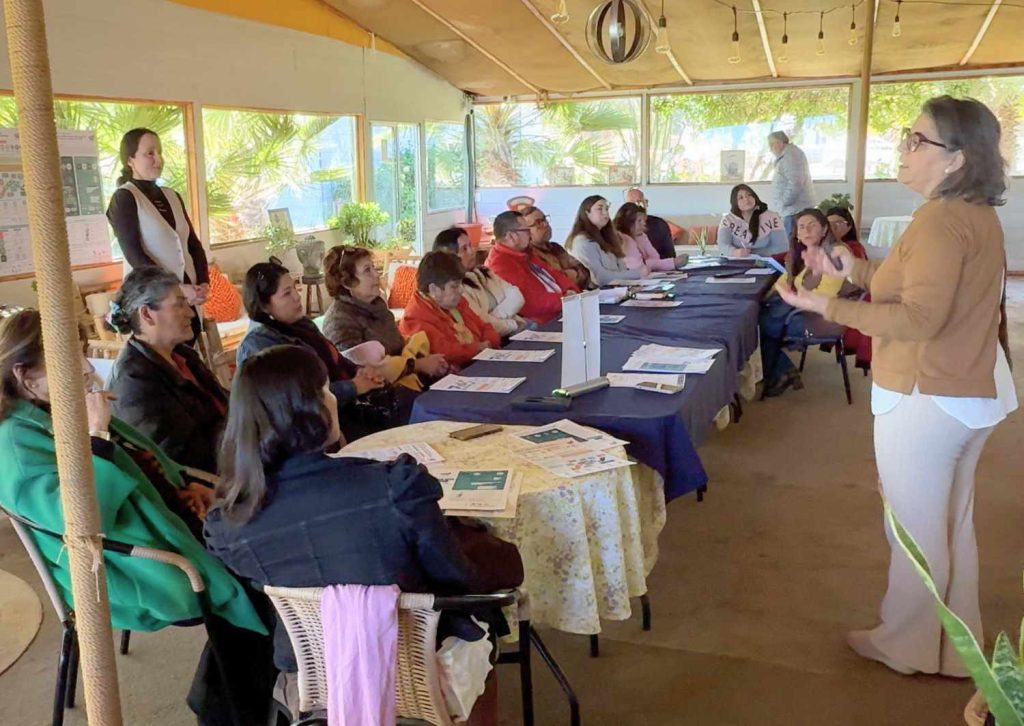 Estudio revela que 80% de los turistas gastaría más dinero en destinos sostenibles del Valle del Elqui y Choapa